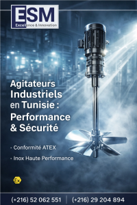Agitateurs-industriels-en-Tunisie-esm-inox